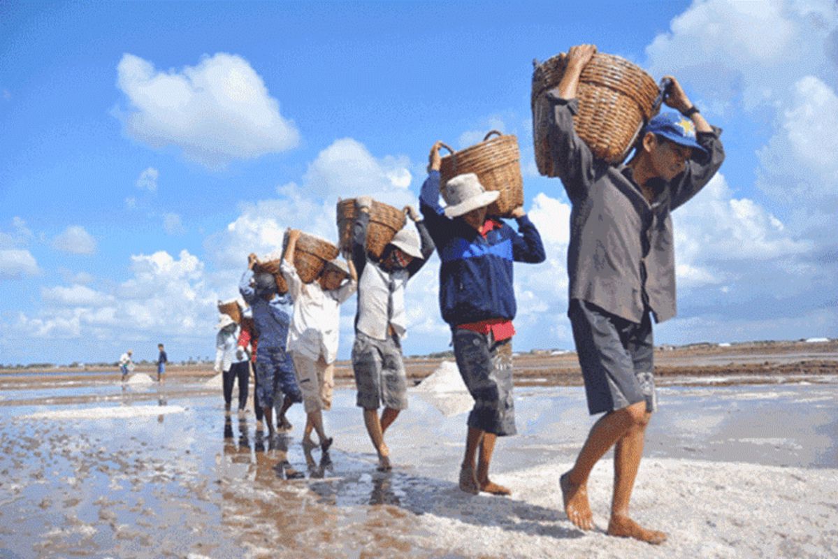 Learn Ca Mau’s cultural legacy with expert insights
