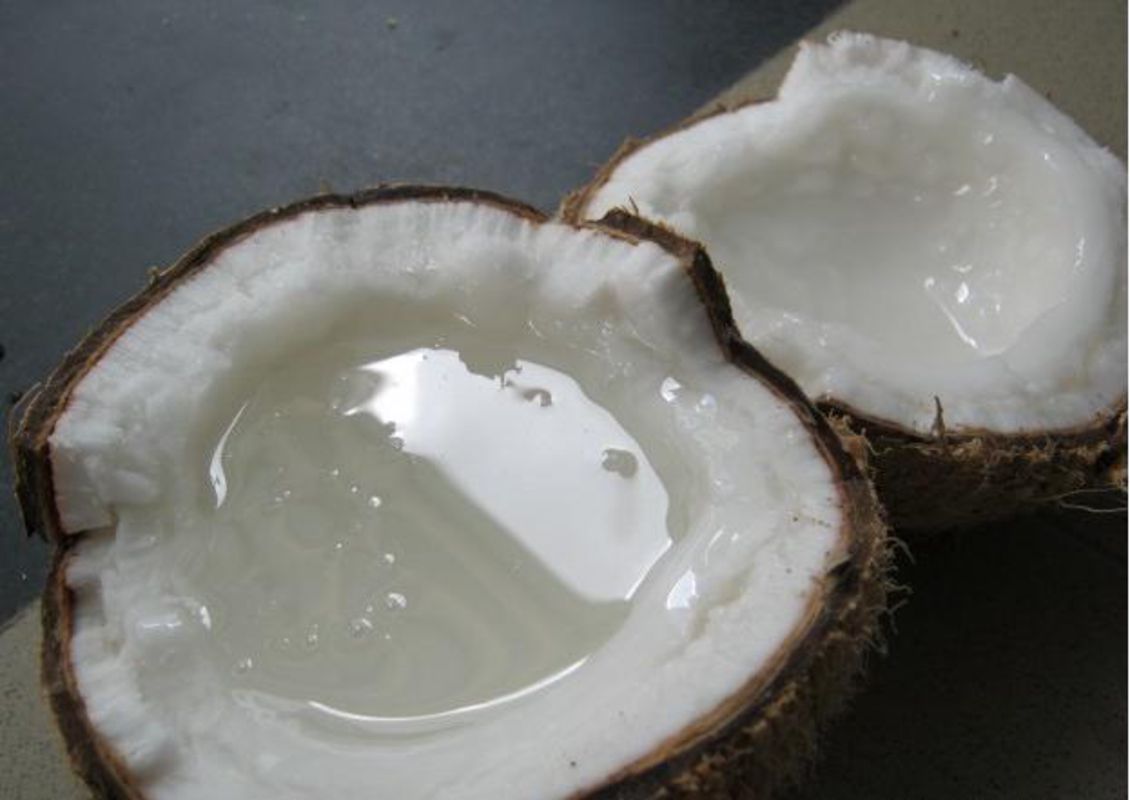 Makapuno Coconut - "Dừa sáp"