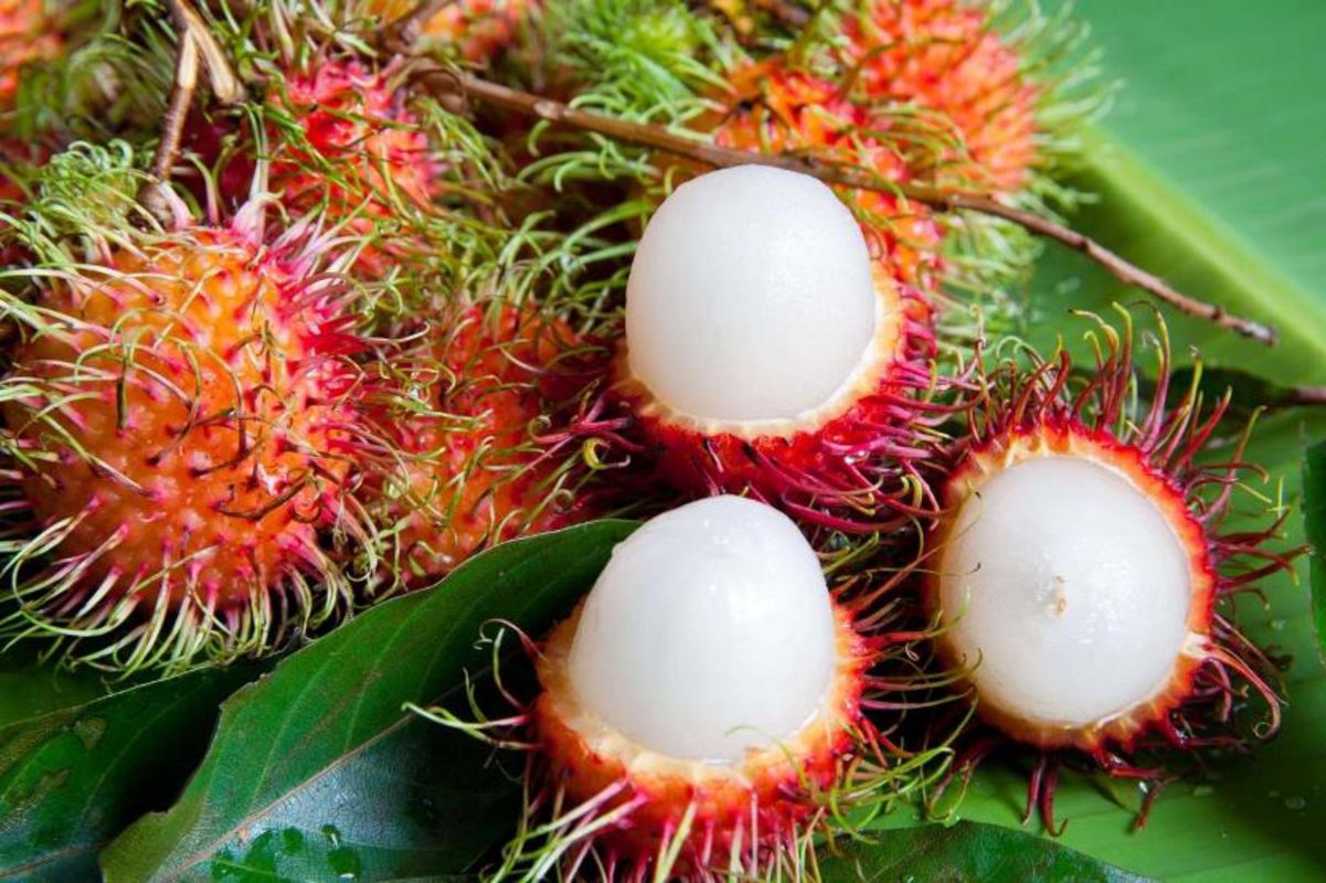 Start your Vinh Long Travel with fresh fruit vibes