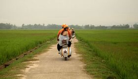 Learn Da Nang’s cultural legacy with expert insights