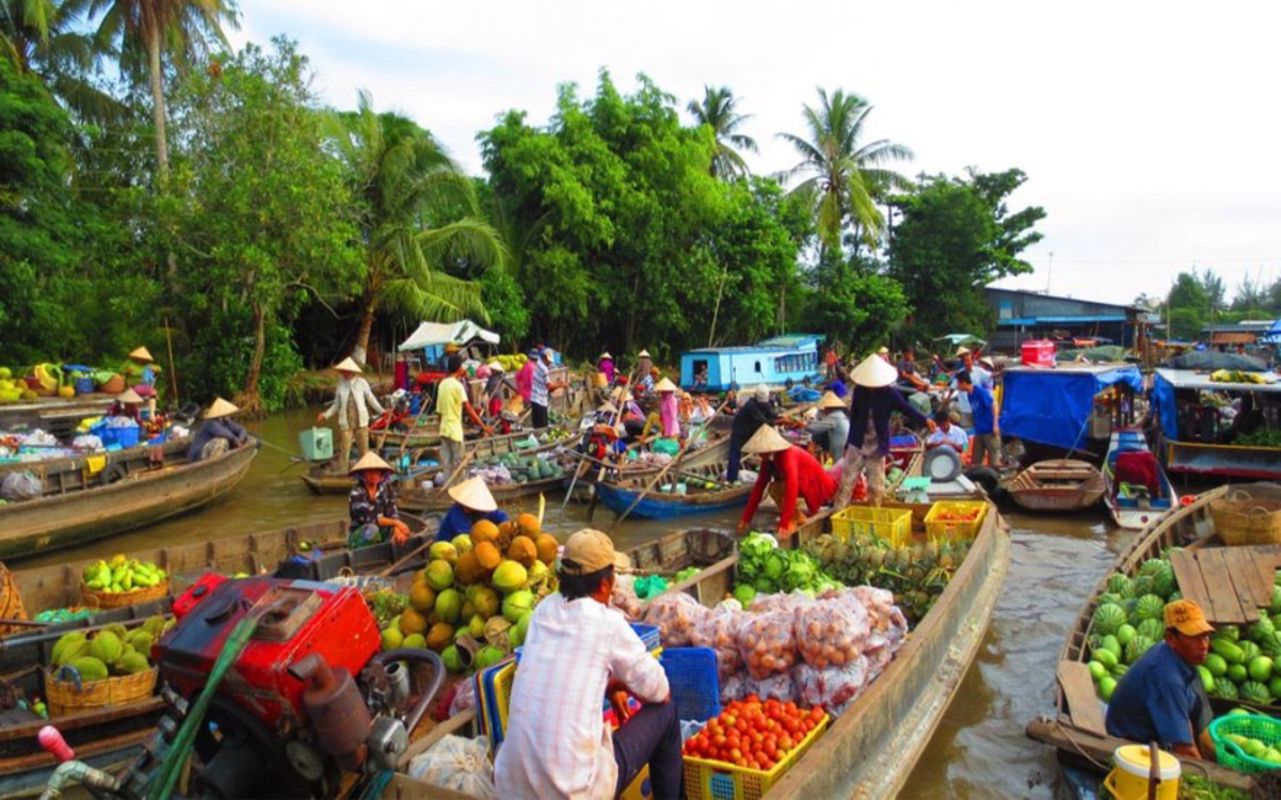 Dive into the tropical charm of Tien Giang Travel