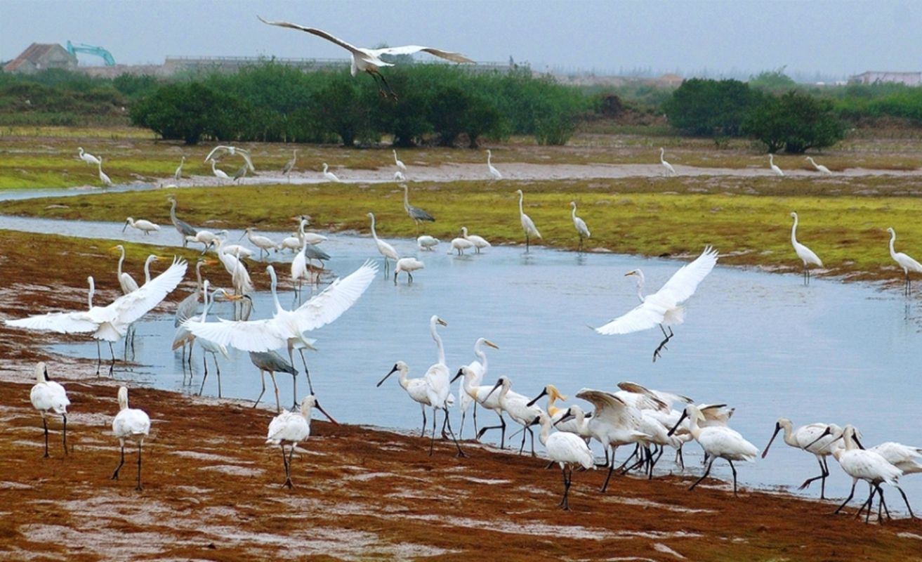 Capture the vibrant essence of Nam Dinh’s eco-gem