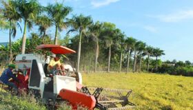 Experience Long An Tours with sustainable adventures