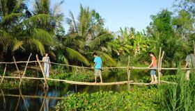 Capture the fruitful essence of Dong Thap’s oasis