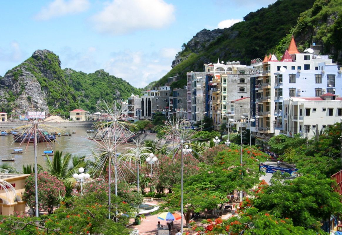 Capture the unique biodiversity of Cat Ba’s conservation gem
