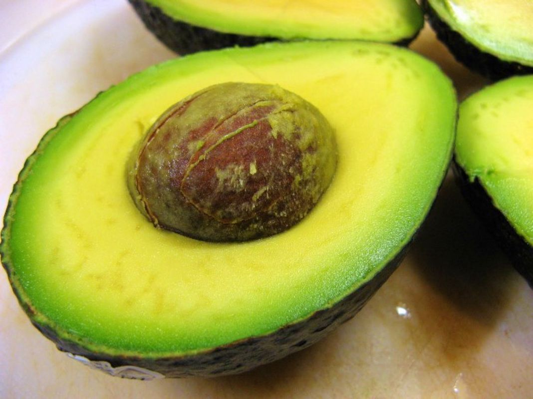 Photograph the lush allure of Da Lat’s superfood