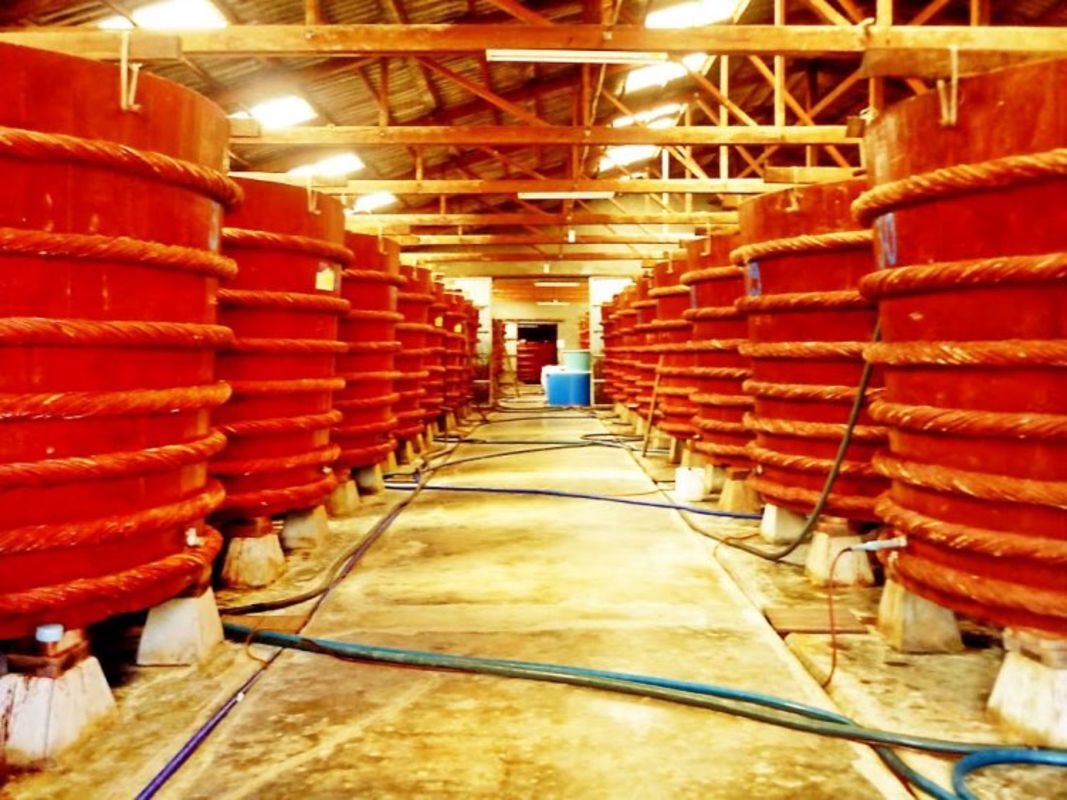 Phu Quoc Fish Sauce - Learn Phu Quoc’s culinary legacy with expert insights