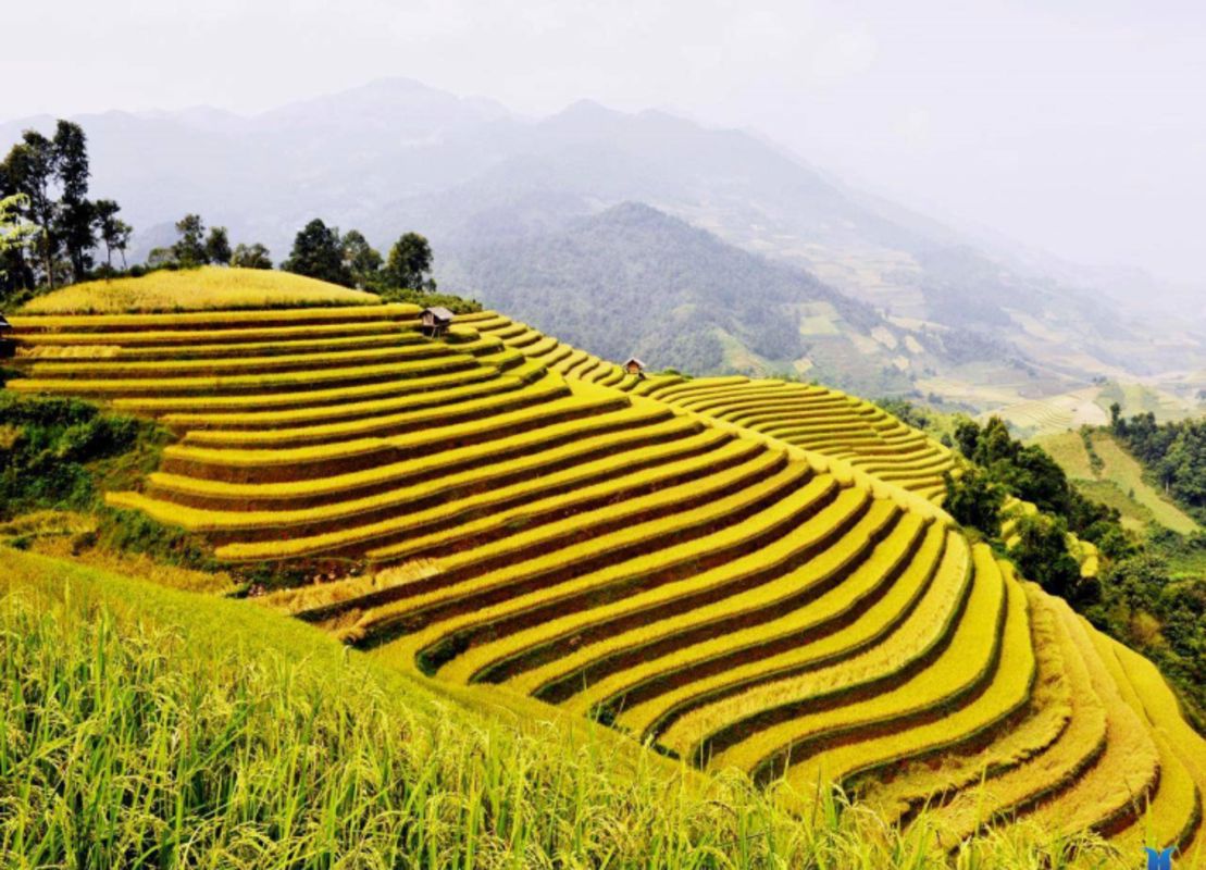 Start your Ha Giang Travel with serene vistas