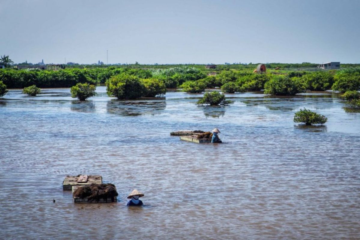Start your Nam Dinh Travel with tranquil vistas