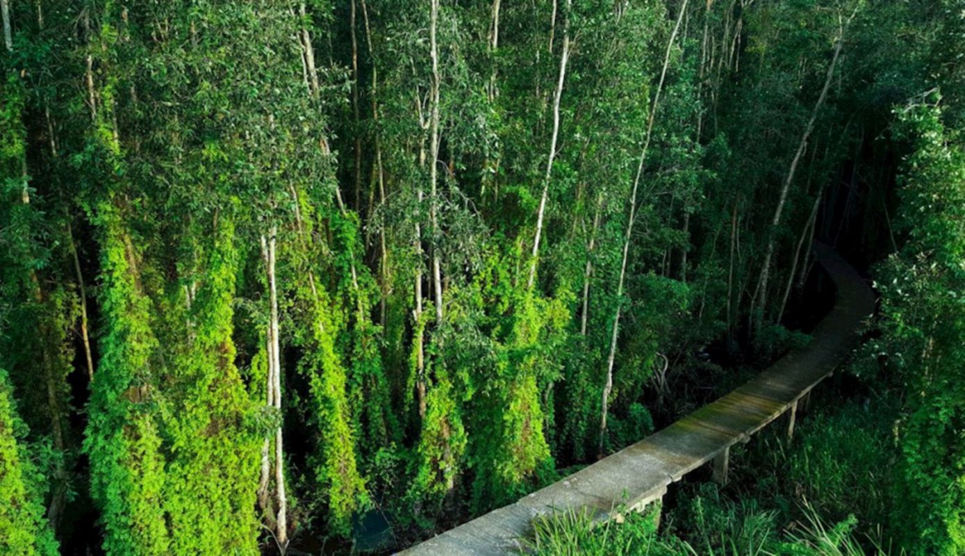 Dive into the adventurous charm of Long An Travel
