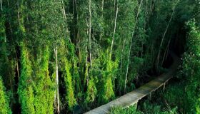 Dive into the adventurous charm of Long An Travel