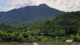 Capture the eco-friendly charm of Hanoi’s ecotourism