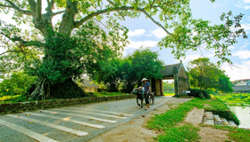 image-16